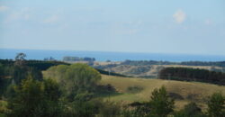 Rural Lockwood Home – Amazing Views!